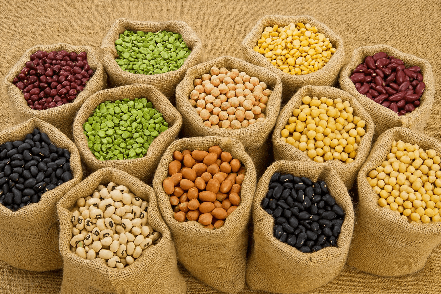Beans & Legumes